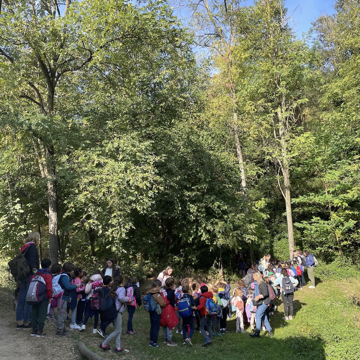 Format Natura in Gioco