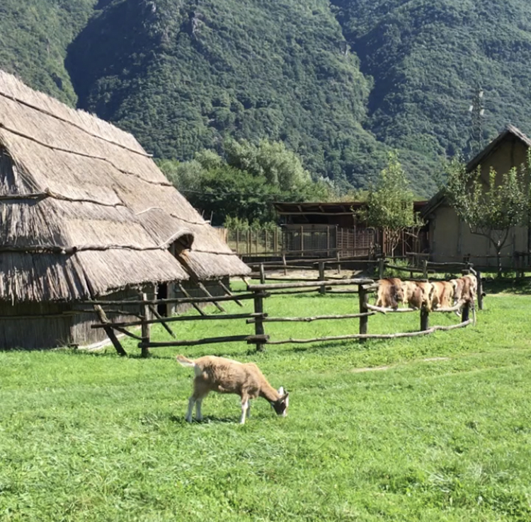 Gita a Giocabosco e ad Archeopark