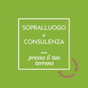 Sopralluogo e Consulenza presso il tuo terreno