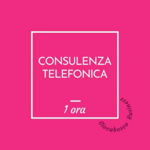 Consulenza telefonica: 1 ora