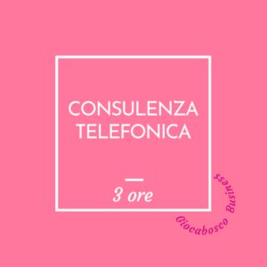 Consulenza telefonica: 3 ore