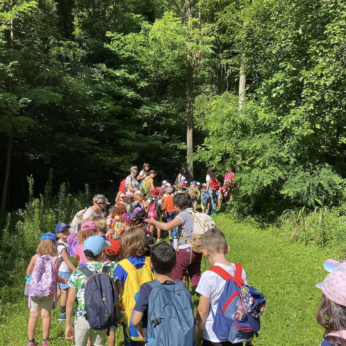 Format Natura in Gioco